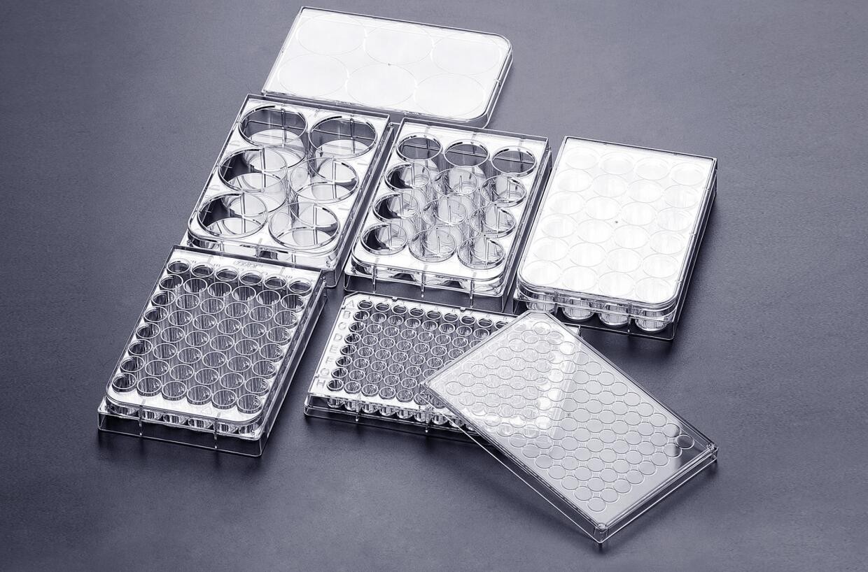 多孔细胞培养板