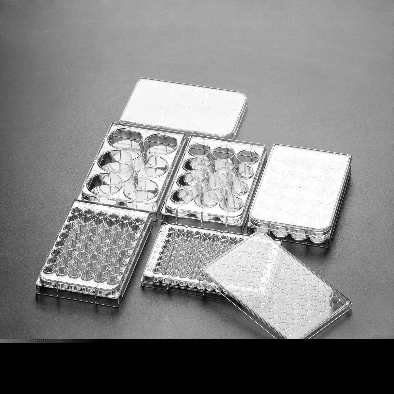 多孔细胞培养板