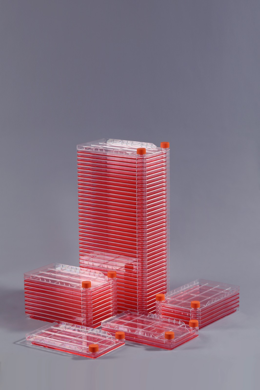 细胞工厂 细胞工厂