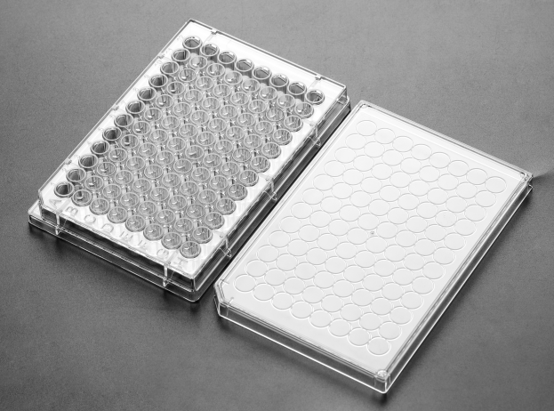 96孔细胞培养板