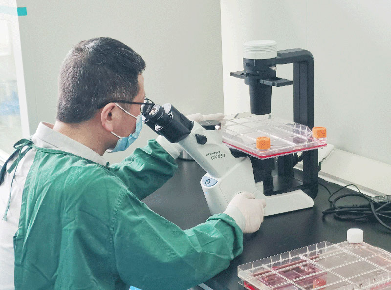 1层细胞工厂质量检测