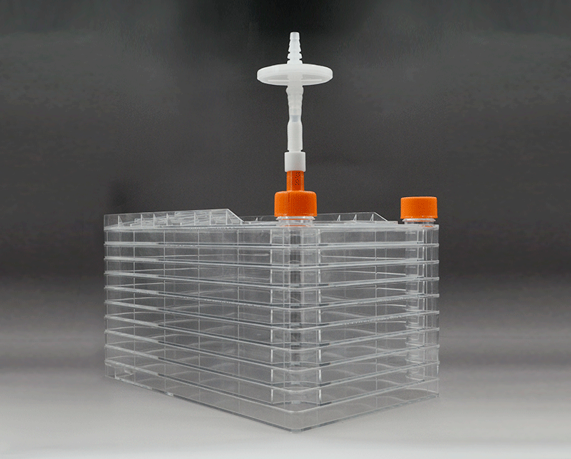 为什么细胞工厂需要借助摇床进大规模生产