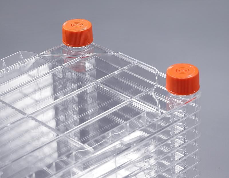 细胞工厂培养细胞需要什么条件_富道细胞