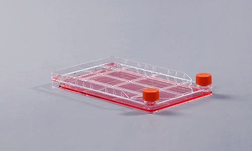 细胞工厂初始污染菌检测的意义