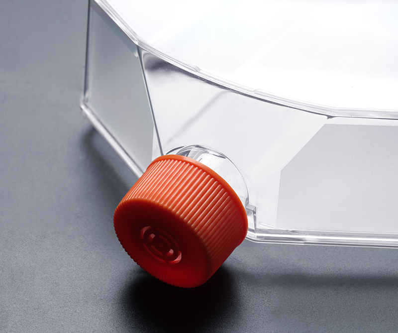 细胞培养瓶培养昆虫细胞的注意事项