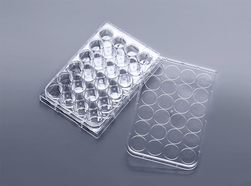 24孔细胞培养板