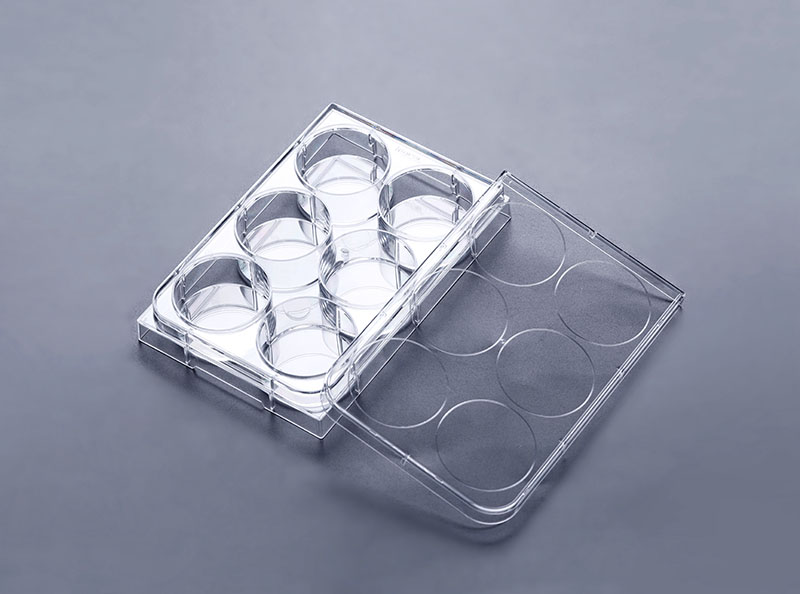 6孔超低吸附细胞培养板