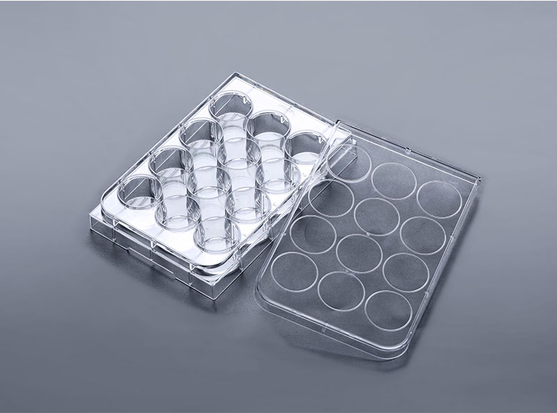 12孔细胞培养板