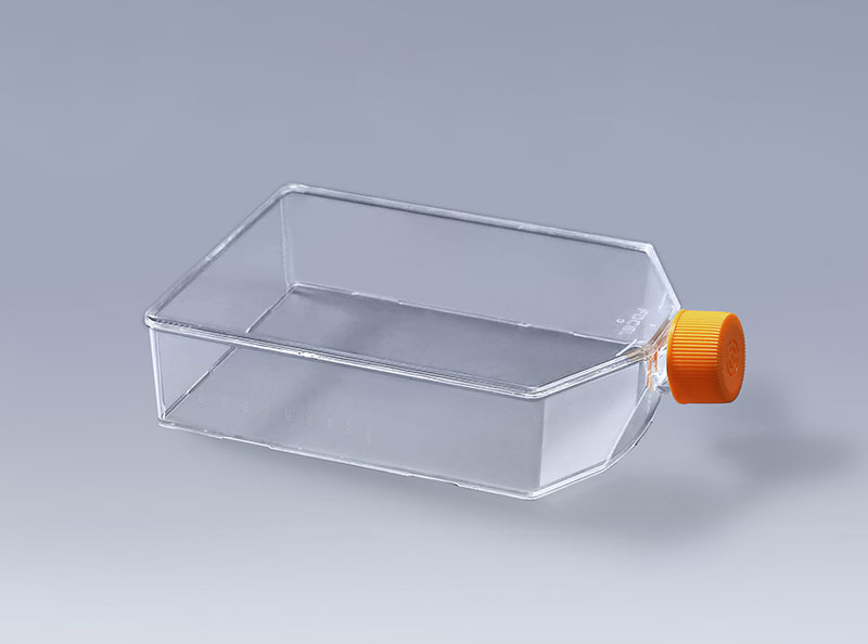 如何预防细胞培养瓶内的支原体污染