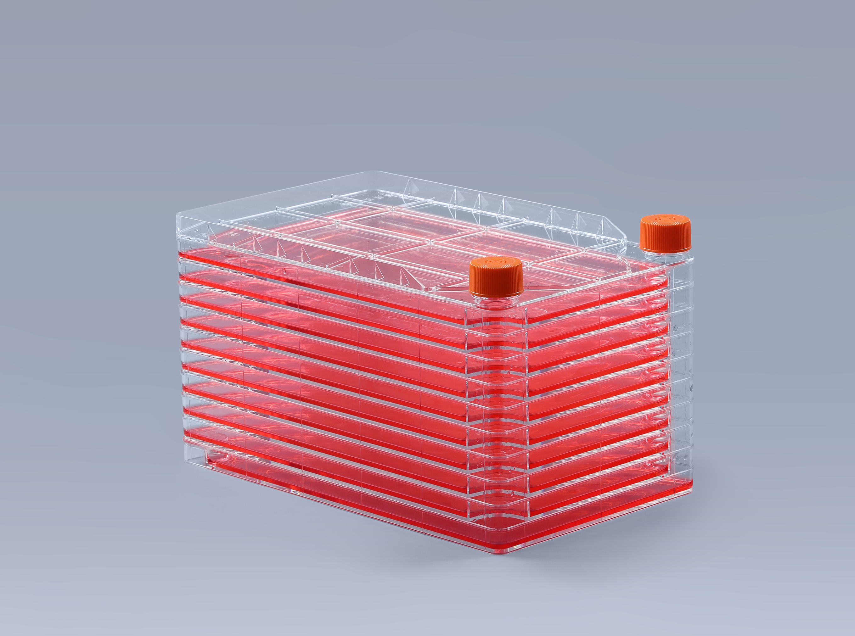 用细胞工厂培养的疫苗种类有哪些_富道细胞