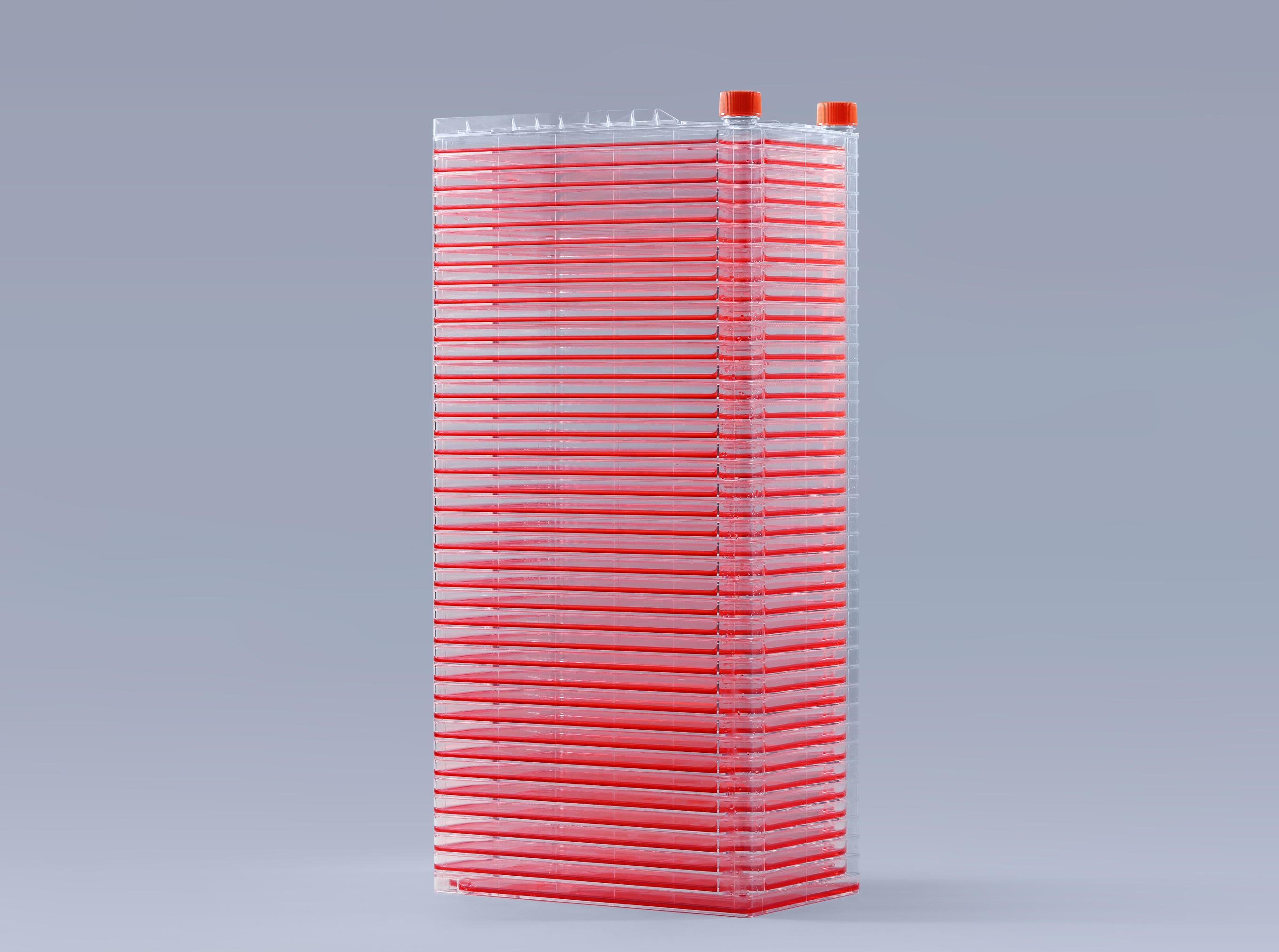 细胞工厂内出现支原体污染怎么办_富道细胞