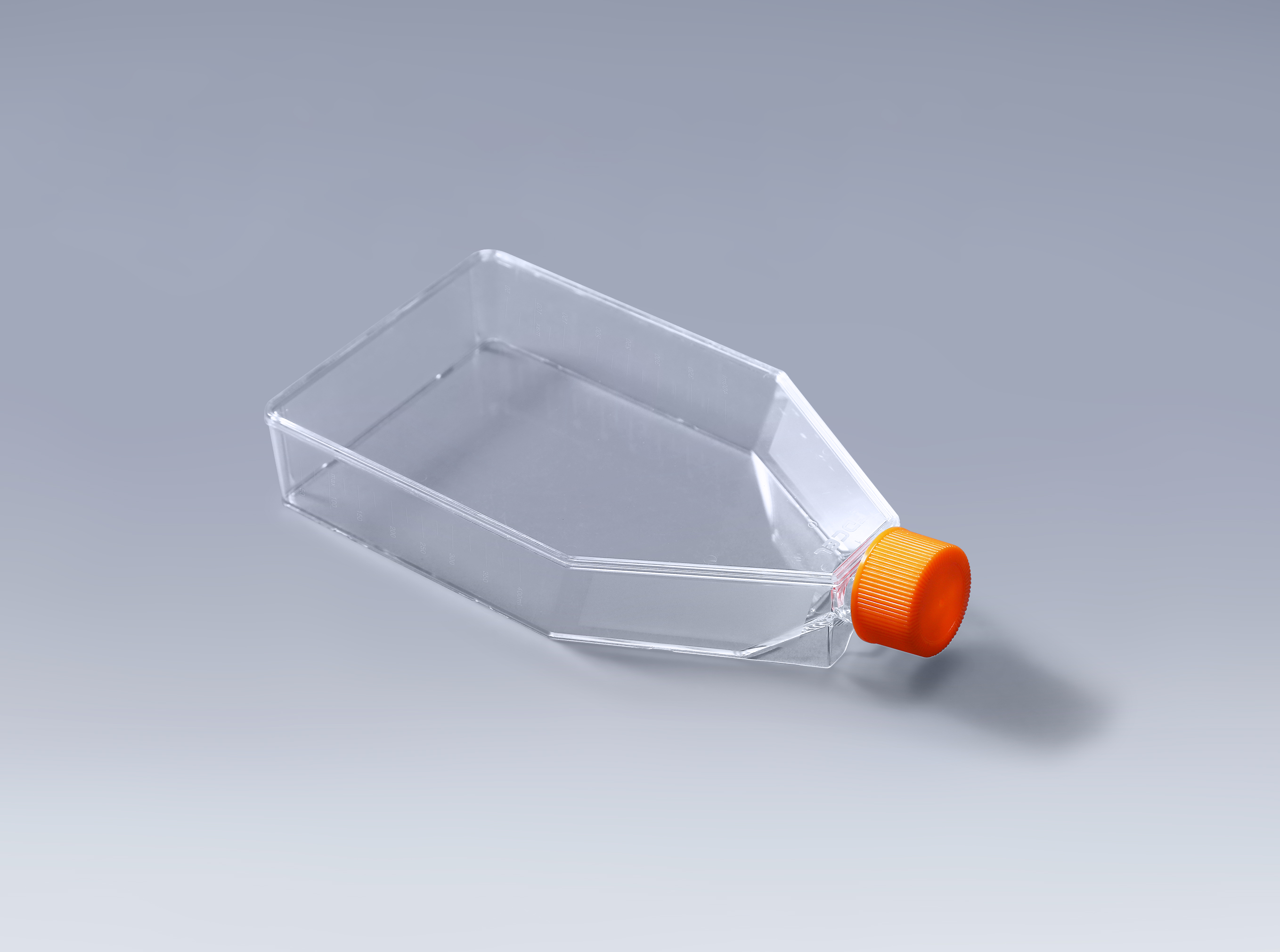 细胞培养瓶内的细胞空泡化的原因分析_富道细胞