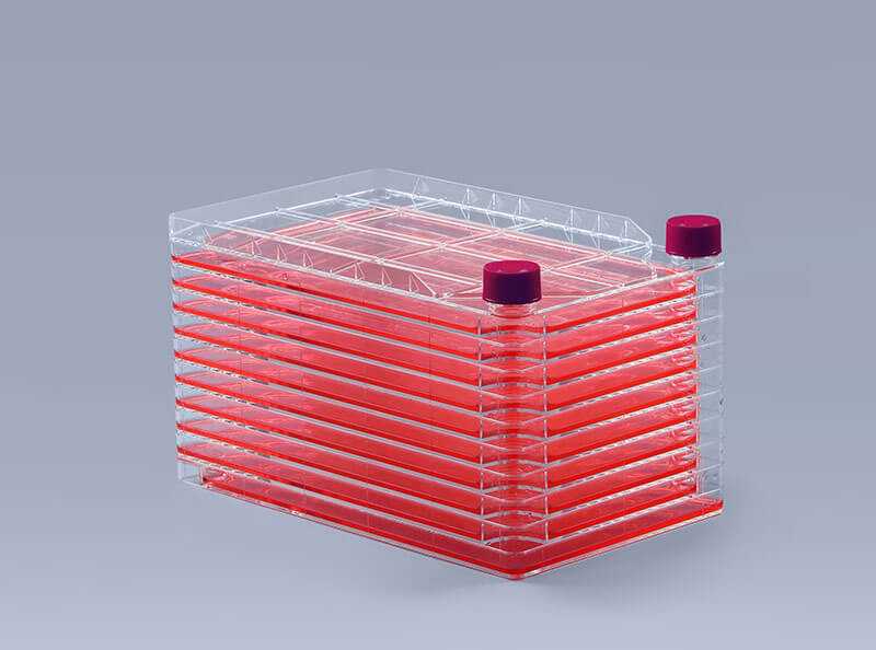 细胞工厂内出现“黑胶虫”的补救_富道细胞