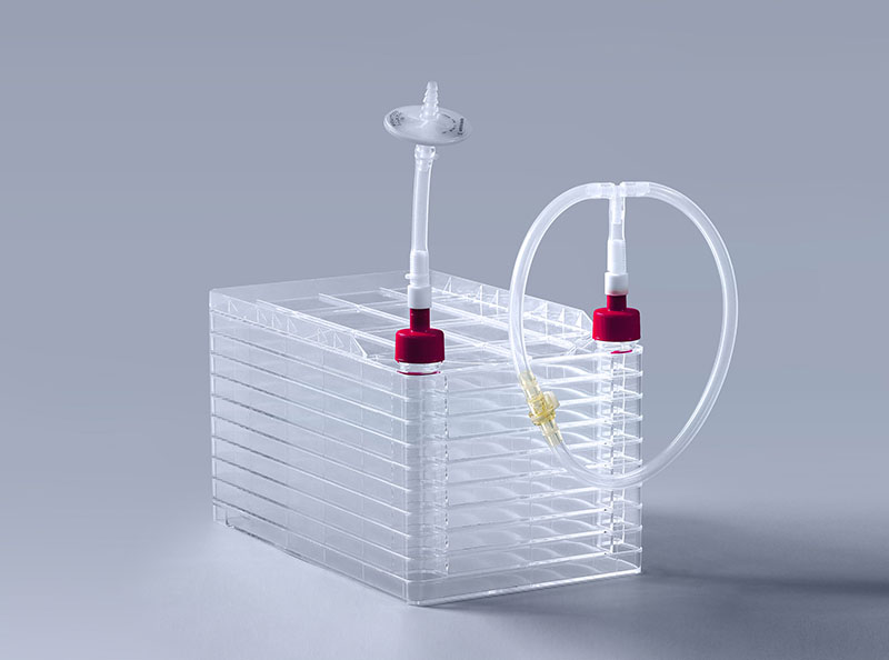 细胞工厂如何助力疫苗高效稳定生产_富道细胞 细胞工厂如何助力疫苗高效稳定生产_富道细胞