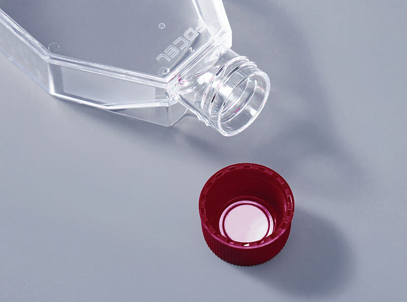 细胞培养常见的7种污染类型以及特点（上）